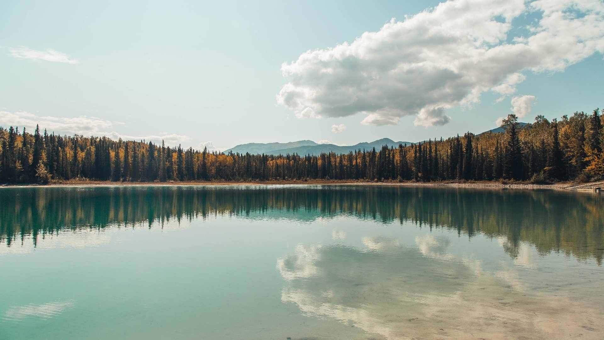 跨界焦点,意甲战火与森林狼踏平尼克斯的胜利交响