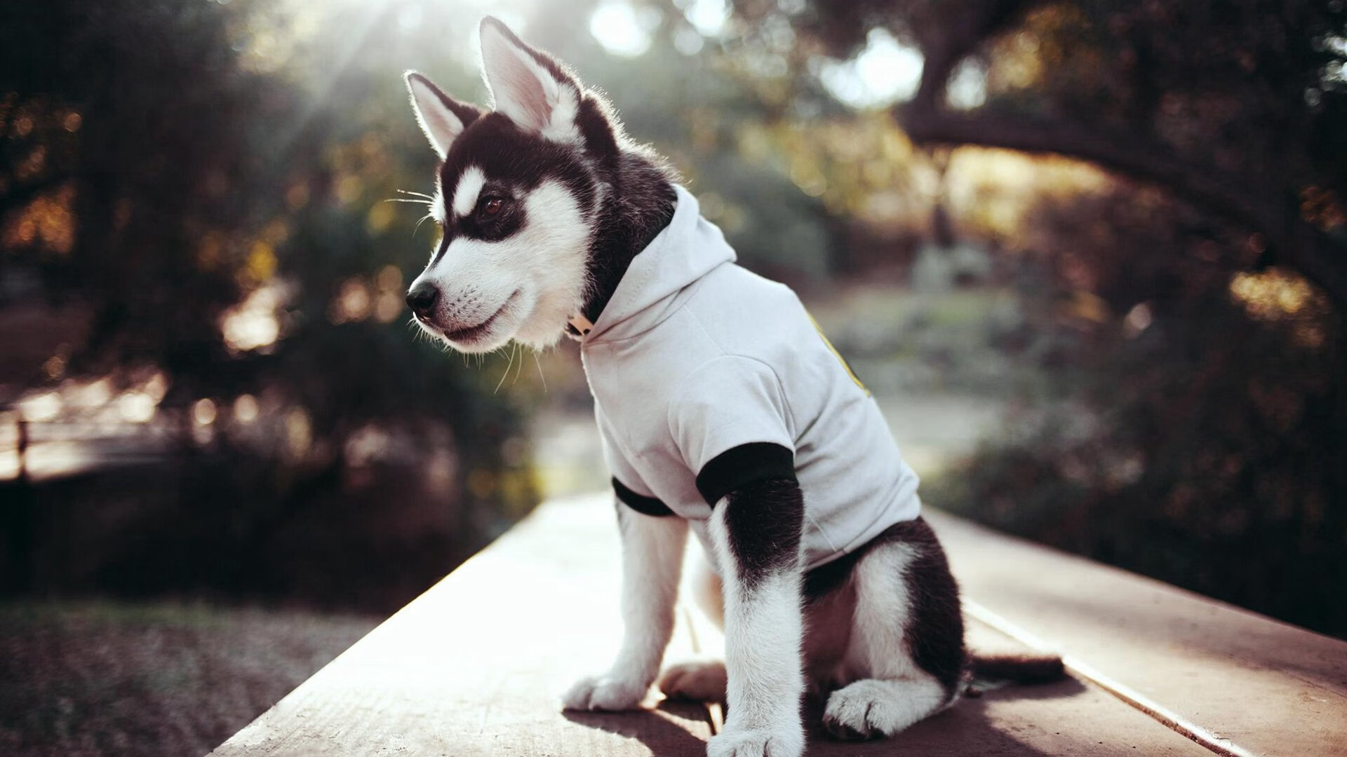 铁血牢笼与手术刀锋芒—拜仁用穆勒的智慧与全队的枷锁终结悬念