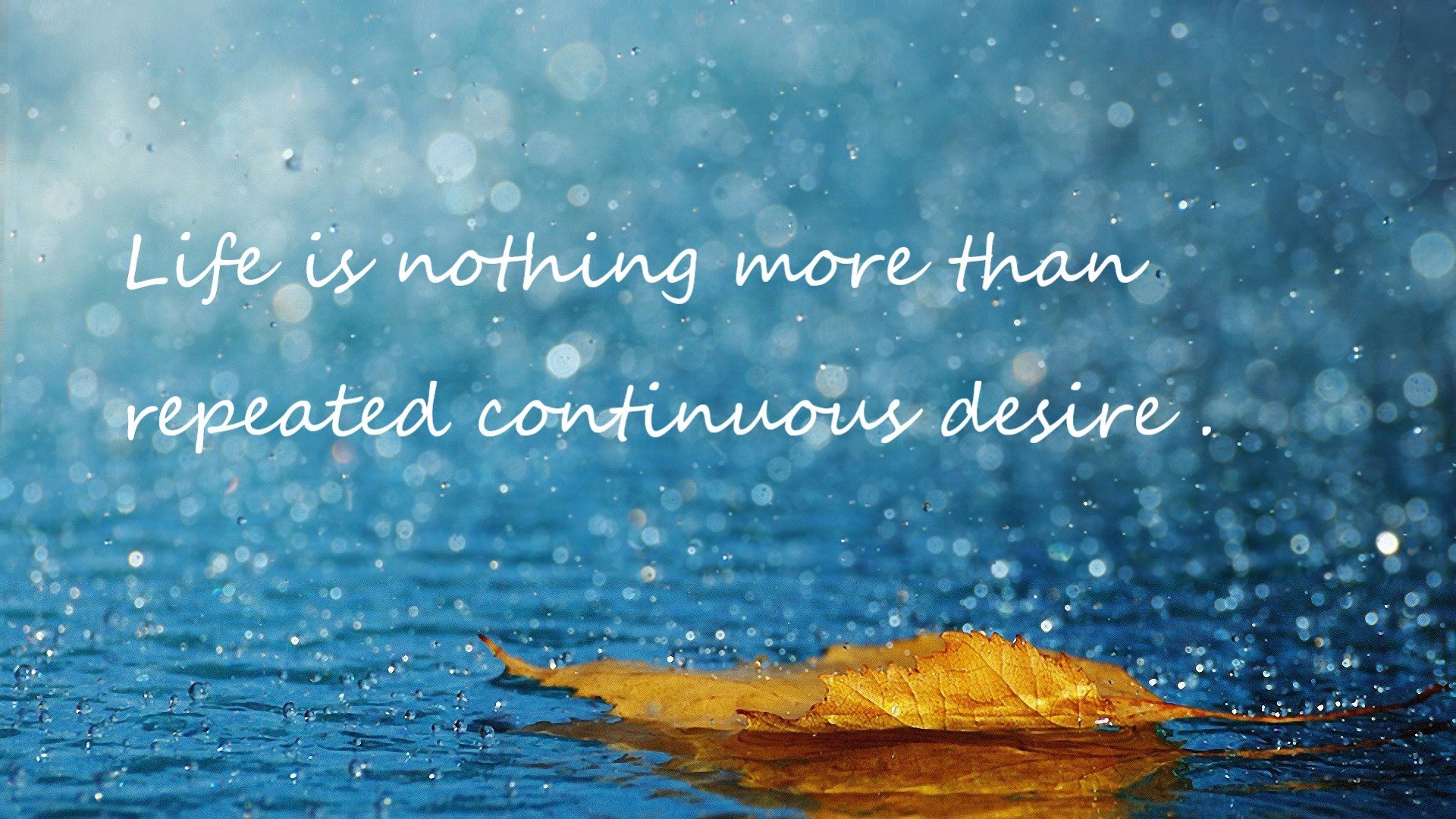 攻防魔术师！致命抢断锁死火箭 霍勒迪用凯尔特人最需要的方式证明自己