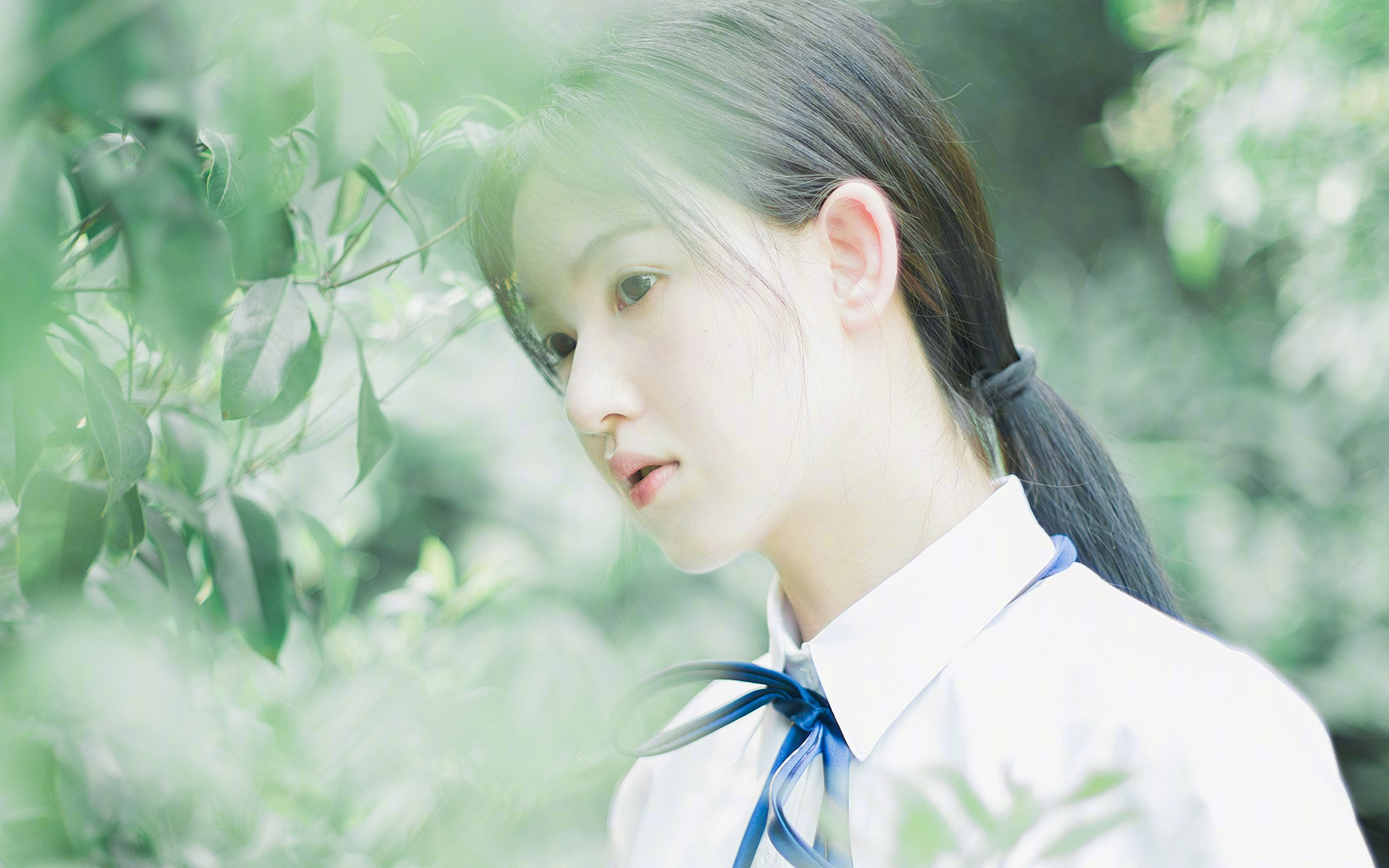 极速与对抗的交汇点，当F1轮胎的尖啸遇上篮球鞋的摩擦声