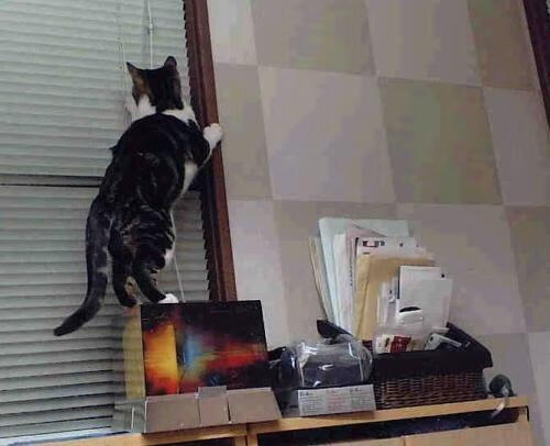 雷火电竞主播-双线破局，当新疆的团队篮球遭遇爱德华兹的孤胆英雄—一场关于唯一性的体育启示录