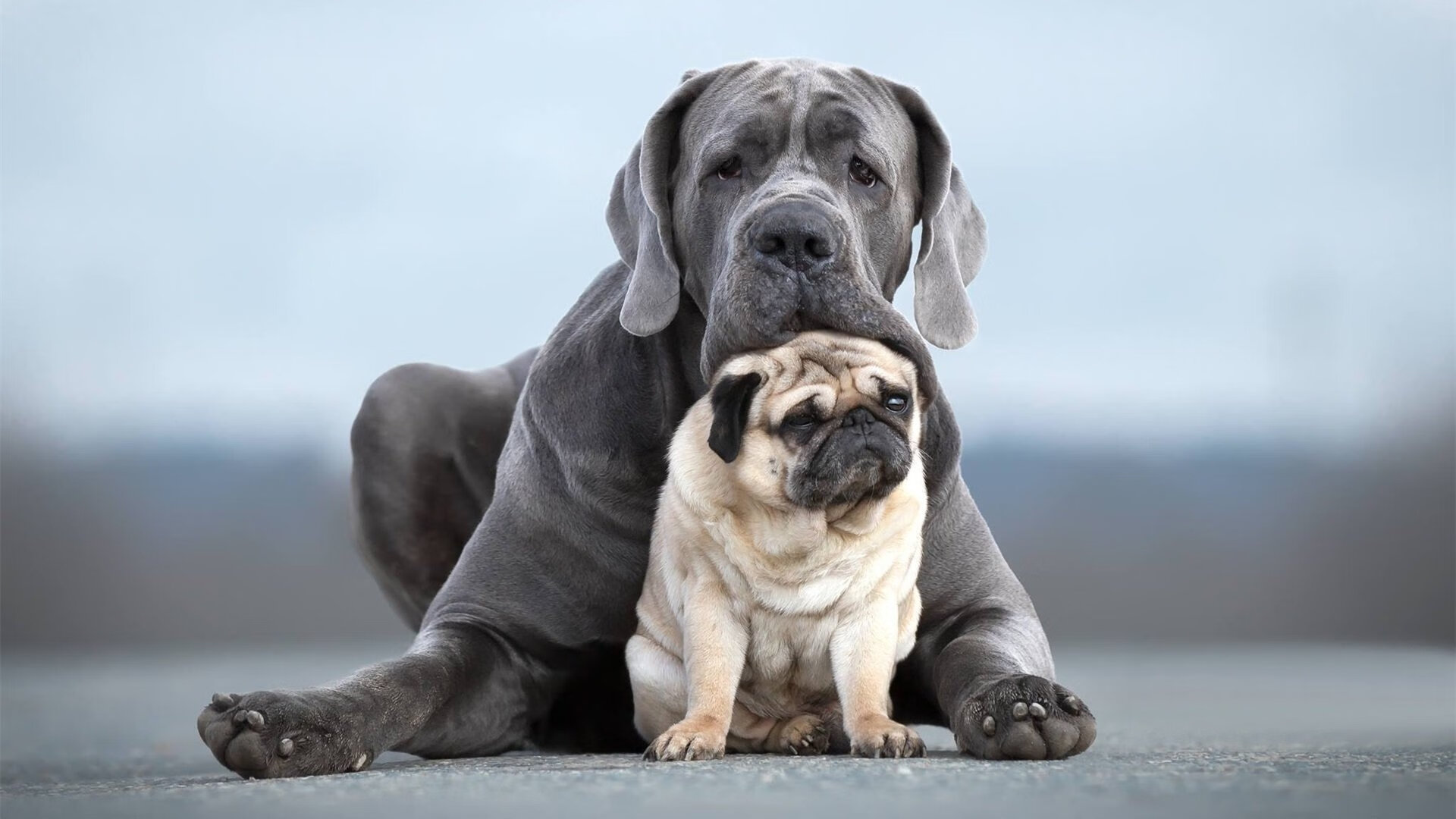 以下是为您构思的几个文章标题，以及基于其中一篇创作的正文